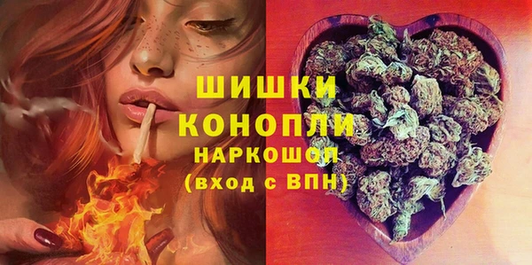spice Алексин