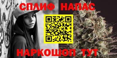 хмурый Аша