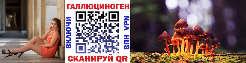 Псилоцибиновые грибы мухоморы  omg   Волжский  купить наркотики цена 