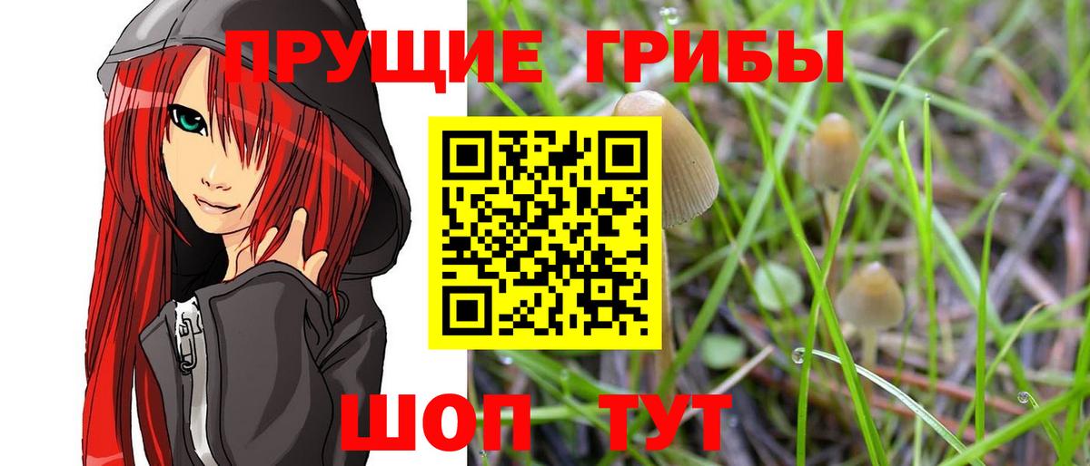 Волжский  Вход с VPN  ГАШ  Где найти наркотики?  Гашиш  Меф кристаллы  Кодеин 