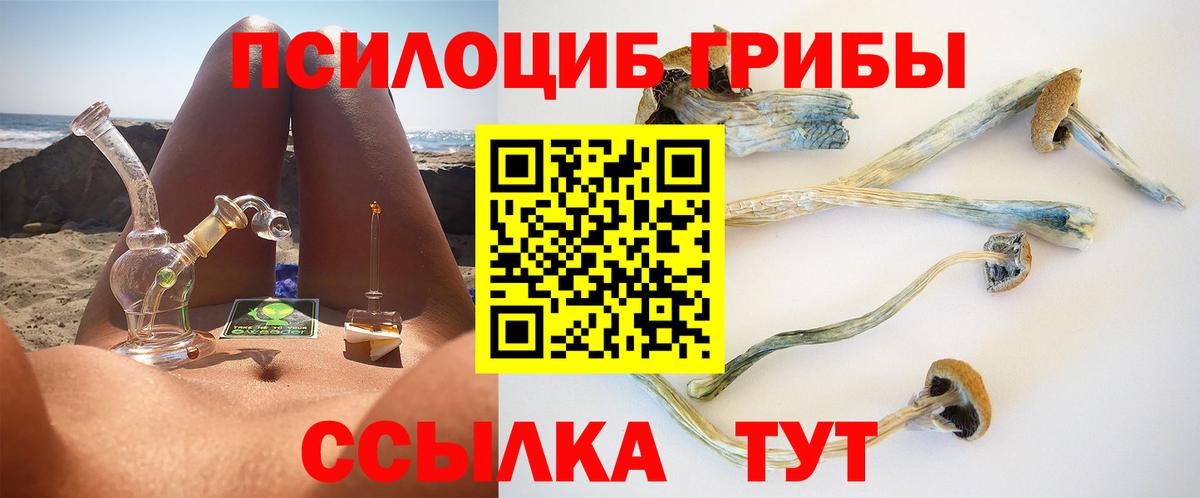 Галлюциногенные грибы мицелий Волжский