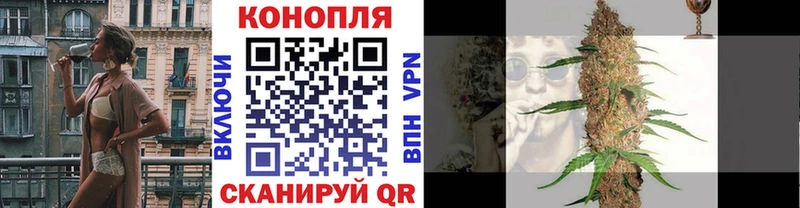 где найти наркотики  Волжский  МАРИХУАНА индика 